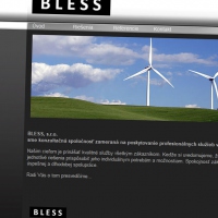bless it website design